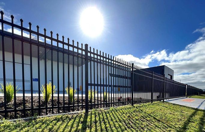 Chain Link Fence