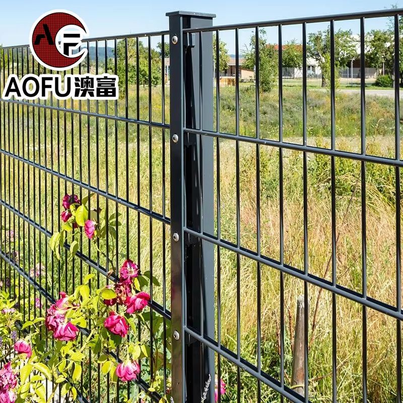 Double Wire Fence