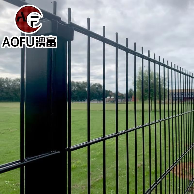 Double Wire Fence